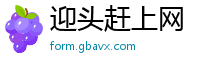 迎头赶上网